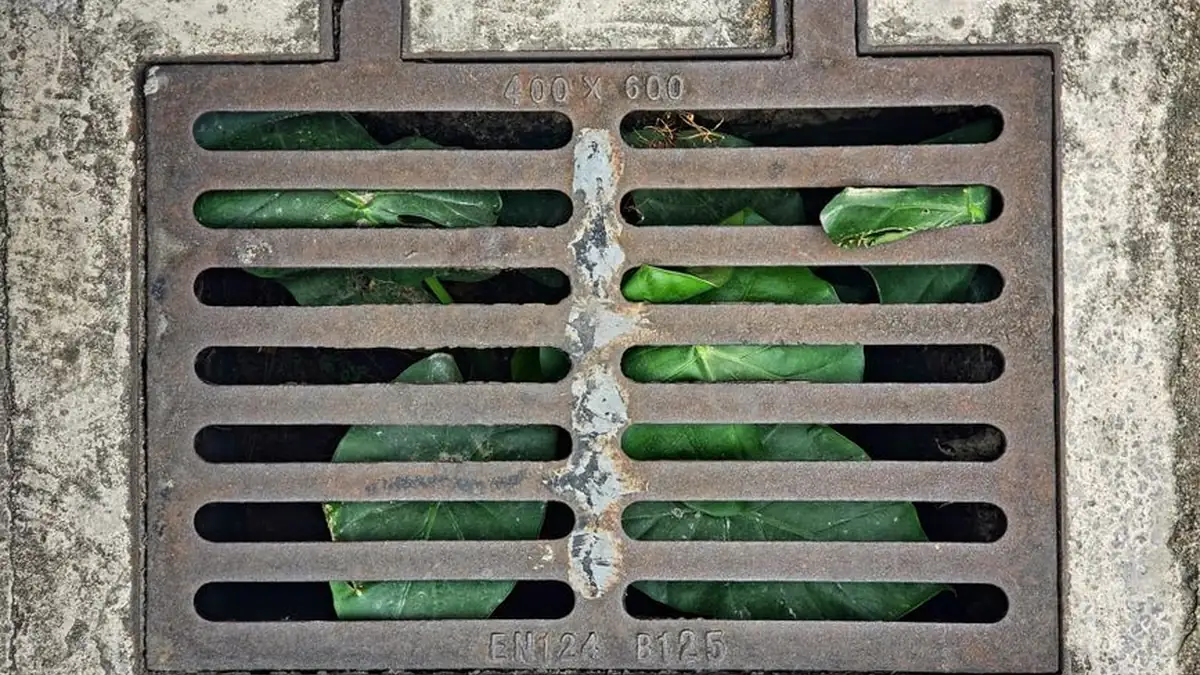 Rectangular grated drainage pit set in concrete with green leaves visible through the bars below