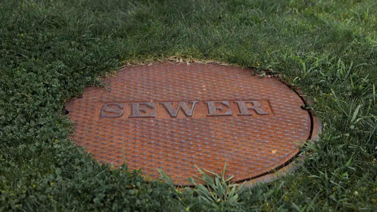 Rusted cast iron sewer access cover stamped with the word SEWER set flush into green grass